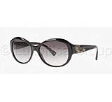 Image of Coach L021 PAYTON HC8010B Sunglasses