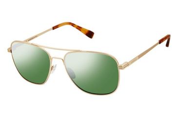 Image of Canali 205 Sunglasses - Frame SHINY GOLD, Lens Color G-15 Polarized CO20501