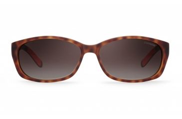 Image of Carrera 8016/S Sunglasses CA8016S-06XV-LA-6015 - Havana Black Frame, Brown Gradient Polz Lenses, Lens Diameter 60mm, Distance Between Lenses 15mm