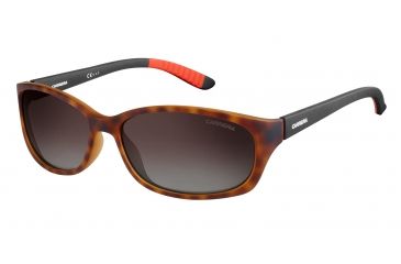 Image of Carrera 8016/S Sunglasses CA8016S-06XV-LA-6015 - Havana Black Frame, Brown Gradient Polz Lenses, Lens Diameter 60mm, Distance Between Lenses 15mm