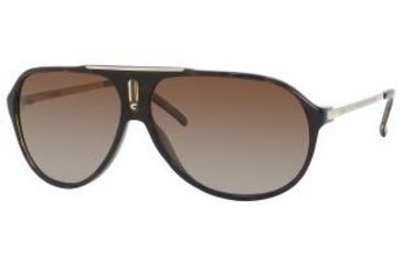 Image of Carrera Hot Sunglasses - Havana Blue Gold Frame, Brown Shaded Polarized Lenses HOTPS0YKXRW