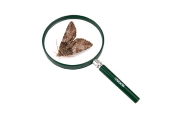 Image of Carson BigEye 2.5x 5in Acrylic Hand Magnifier, Outdoor Green HU-20