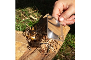 Image of Carson Optical WM-21 Credit Card Sized Magnifier with Spot Lens, Clear, 2.1 in x 0.1 in x 3.4 in, WM-21