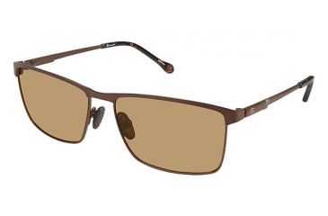 Image of Champion Eyes 6041 Sunglasses - Frame Dark Brown, Lens Color Brown, Size 56/15mm CU604102