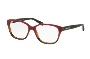 Image of Coach HC6103F Eyeglass Frames 5445-54 - Aubgn Cognac Varsity Stripe Frame