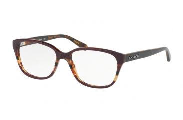 Image of Coach HC6103F Eyeglass Frames 5478-54 - Oxblood Tort Varsity Stripe Frame