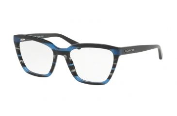 Image of Coach HC6109F Eyeglass Frames 5477-54 - Blue Glitter Varsity Stripe Frame