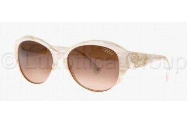 Image of Coach L021 PAYTON HC8010B Sunglasses 500513-5716 - Ivory/Cream Brown Gradient