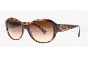 Image of Coach L021 PAYTON HC8010B Sunglasses 504013-5716 - Tortoise Brown Gradient