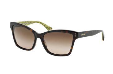 Image of Coach L084 ARCHIE HC8107 Sunglasses 523213-55 - , Dark Brown Gradient Lenses