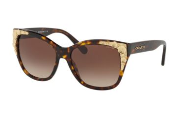 Image of Coach L1043 HC8244 Sunglasses 541713-56 - Dark Trot Frame, Smike Brown Grey Gradient Lenses
