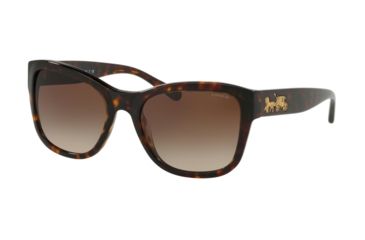 Image of Coach L1045 HC8243 Sunglasses 541713-55 - Dark Tortoise Frame, Smoke Brown Gradient Lenses