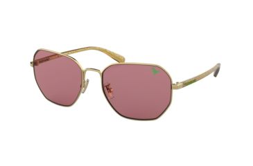 Image of Coach L1063 HC7092 Sunglasses 900584-56 - Light Gold Frame, Grape Solid Lenses
