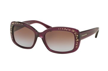 Image of Coach L146 HC8161 Sunglasses 504368-55 - Purple Frame, Brown Purple Gradient Lenses