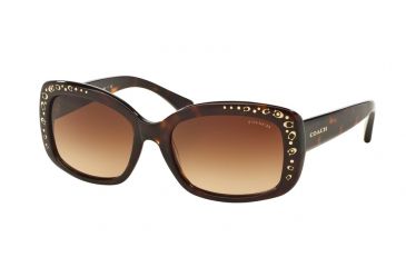Image of Coach L146 HC8161 Sunglasses 512013-55 - Dark Tortoise Frame, Brown Gradient Lenses
