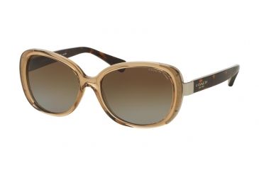 Image of Coach L153 HC8172 Bifocal Prescription Sunglasses HC8172-5369T5-56 - Lens Diameter 56 mm, Frame Color Crystal Light Brown/Dark Tortoise