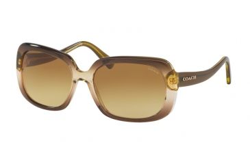 Image of Coach L1591 HC8178 Sunglasses 54002L-57 - Olive Brown Gradient/Olive Frame, Amber Gradient Lenses