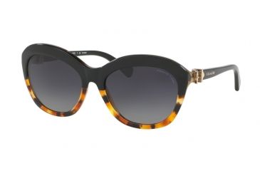 Image of Coach L1600 HC8184 Sunglasses 5404T3-57 - Black Tortoise Gradient/Black Frame, Grey Gradient Polar Lenses