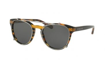 Image of Coach L1652 HC8216 Sunglasses 544087-51 - Blk Amber Gltr Varsity Stripe Frame, Dark Grey Solid Lenses