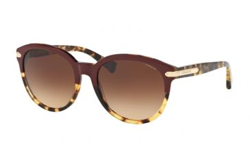 Image of Coach L554 HC8140F Sunglasses 543713-55 - Burgundy Tortoise/Tortoise Frame, Brown Gradient Lenses