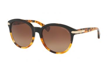 Image of Coach L554 HC8140F Sunglasses 5438T5-55 - Black Tortoise/Tortoise Frame, Brown Gradient Polar Lenses