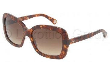 Image of D&amp;G DD 3047 Sunglasses Styles Havana Frame / Brown Gradient Lenses, 784-13-5616