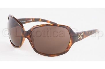 Image of D&amp;G DD 8018 Sunglasses Styles Havana Frame / Brown Lenses, 502-73-6317, DandG DD 8018 Sunglasses Styles Havana Frame / Brown Lenses