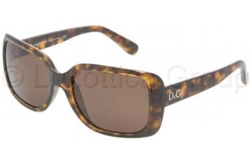 Image of D&amp;G DD 8067 Sunglasses Styles Havana Frame / Brown Lenses, 502-73-5618, DandG DD 8067 Sunglasses Styles Havana Frame / Brown Lenses