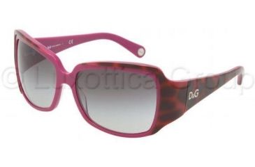 Image of D&amp;G DD3048 Sunglasses 935/8G-5916 - Havana On Violet Gray Gradient