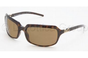 Image of D&G Sunglasses DD2192 502/83-6217 - Havana Polarized Brown