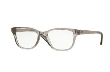 Image of DKNY DY4672 Single Vision Prescription Eyeglasses 3696-51 - Grey Crystal/satin Silver Frame