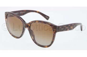 Image of Dolce&amp;Gabbana D&amp;G ALL OVER DG4159P Sunglasses 2660T5-5618 - Hazelnut on Havana Frame, Polarized Brown Gradient Lenses