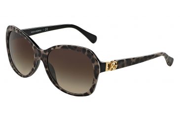 Image of Dolce&amp;Gabbana ICONIC LOGO DG4163P Sunglasses 199513-5717 - Brown Leopard Frame, Brown Gradient Lenses