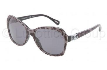 Image of Dolce&amp;Gabbana ICONIC LOGO DG4163P Sunglasses 265681-5717 - Leopard Grey Frame, Polarized Gray Lenses