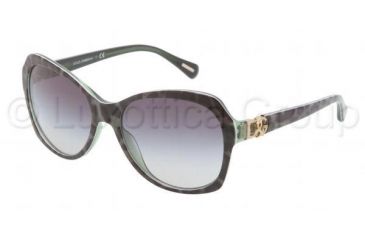 Image of Dolce&amp;Gabbana ICONIC LOGO DG4163P Sunglasses 26588G-5717 - Leopard Green Frame, Gray Gradient Lenses
