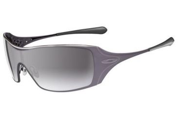 Image of Oakley Dart Slate Frame w/ Grey Lenses Sunglasses 05-661