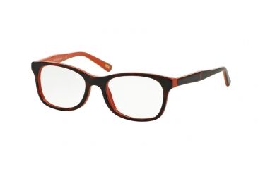 Image of Polo PP8522 Bifocal Prescription Eyeglasses 1245-46 - Tortoise/Orange Frame
