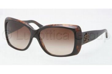 Image of Ralph Lauren RL8080 Sunglasses 526013-5714 - Top Black / Havana Frame, Brown Gradient Lenses