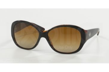 Image of Ralph Lauren RL8091 Progressive Prescription Sunglasses RL8091-5260T5-60 - Lens Diameter 60 mm, Frame Color Top Black/Havana