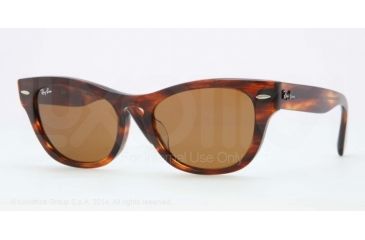Image of Ray-Ban LARAMIE F RB4169F Sunglasses 954-53 - Light Tortoise Frame, Crystal Brown Lenses