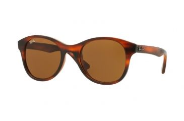 Image of Ray-Ban RB4203 Sunglasses 820/73-51 - Shiny Striped Havana Frame, Dark Brown Lenses