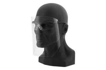 Image of Revision Sawfly Legacy Eyewear System w/ Face Shield, Clear, Regular, 4-0090-9010