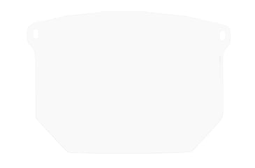 Image of Revision Sawfly Legacy Eyewear System w/ Face Shield, Clear, Regular, 4-0090-9010