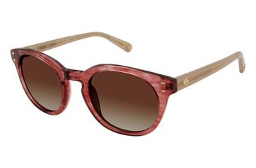 Image of Sperry Top-Sider CALYPSO Sunglasses - Frame TRANS ROSE HORN, Lens Color Brown Gradient, Size 50/22mm SPCALYPSO03