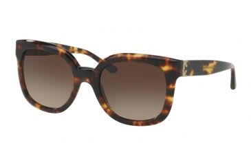 Image of Tory Burch TY7104 Sunglasses 148113-54 - Vintage Tort Frame, Dark Brown Gradient Lenses