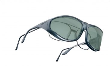 Image of Vistana Steel Frame XL Gray Polare Lens Sunglasses W204G