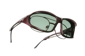 Image of Vistana Burgundy Frame L Gray Polare Lens Sunglasses W309G