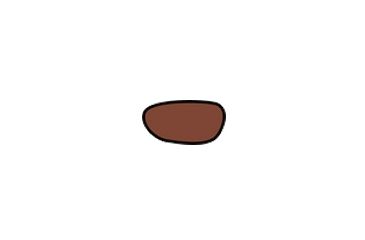 Image of Wiley X P-17 Sunglass Replacement Lenses - Bronze Brown Flash P-17BB