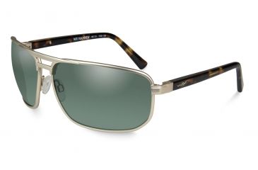 Image of Wiley X WX Hayden, Satin Gold Frame ACHAY04