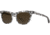 AO Lucinda Sunglasses - Womens, Crystal Slate, Cosmetan Brown AOLite Nylon Lenses, Crystal Slate / Cosmetan Brown Polarized Lens, 51-20-140, LUC251ST--BNN-P